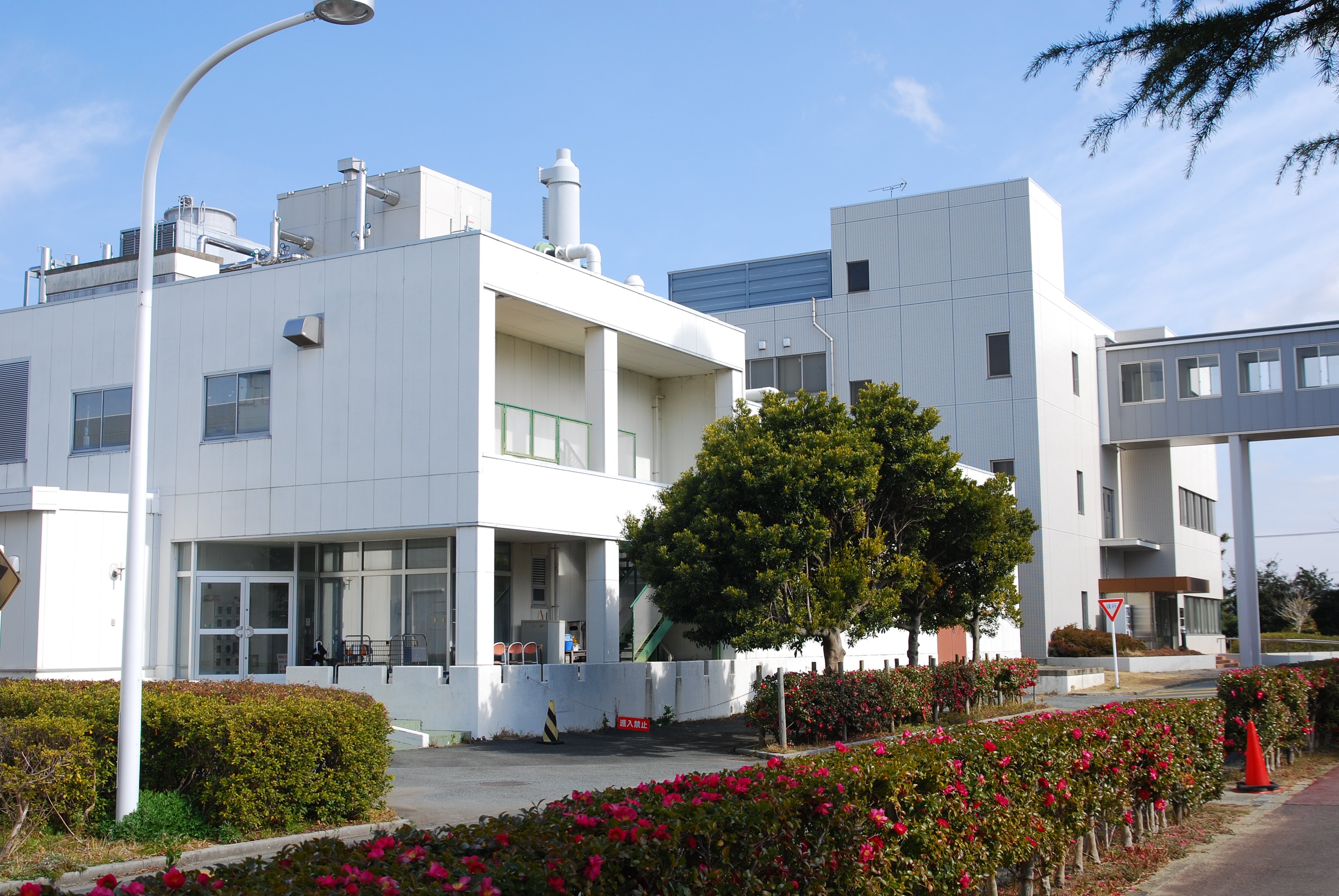 LSI工場全景.JPG